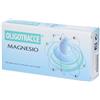 LIZOFARM Srl Oligotracce magnesio 20 fiale 2 ml