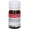 DR.RECKEWEG & CO. GmbH Reckeweg r10 100cpr 0,1g