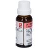 DR.RECKEWEG & CO. GmbH Reckeweg r72 gocce 22ml