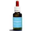 NATUR Srl Coraggio fobie natur mix 30 ml