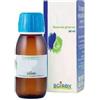 BOIRON Srl Vitis vinifera 60ml mg