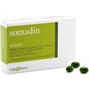 CIEFFE DERMA Srl Somadin 30 softgel