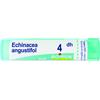BOIRON Srl Echinacea Angustifolia 4DH Boiron 80 Granuli