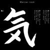 Ludi / Werner Ki (CD)