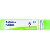 BOIRON Srl Asterias Rubens 5CH Boiron 80 Granuli