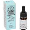ALKAEST Srl Alkaest Quintaessenza QE14 Origano 10ml