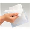 LOHMANN & RAUSCHER Srl Gazin® Compresse Garza Sterili 10X10Cm L&R 10 Pezzi
