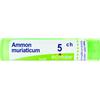 BOIRON Srl Ammonium Muriaticum 5CH Boiron 80 Granuli 4g