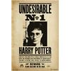 Grupo Erik: Poster Harry Potter Undesirable nº1 - Da Parete 61x91,5cm, Carta Lucida, Incorniciabile - Gadget HP