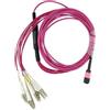 BlueOptics Cavo patch di breakout in fibra ottica Alcatel-Nokia 3HE13896AA-5 BlueOptics compatibile, MPO/UPC, 4x duplex LC/UPC, 5 metri, multimodale G50/125µm, OM4, fibra di marca, 3,0 mm LSZH magenta, 8 anime e connettore MPO senza pin, incluso