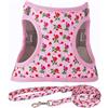 Moonpet Step in Air - Set con pettorina e guinzaglio per cani, in rete, riflettente, anti-tiro, riflettente, anti-tiro, per gatti, cuccioli, taglie XS, S, M, L, motivo: cuore, rosa, XXS