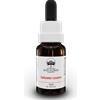 BUSH BIOTHERAPIES Pty Ltd Autumn Leaves Australian Bush Flower Essences 15ml