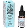 ALKAEST Srl Qe26 Issopo Alkaest 10ml