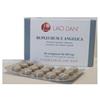 LAO DAN Srl Ginseng Schisandra Integratore Alimentare 60 Compresse