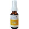 NATUR Srl Sorgente di Luce Formula Composta Flourish Flower Essence Society 30ml