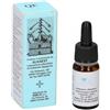 ALKAEST Srl Qe1 Anice Stellato Alkaest 10ml