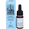 ALKAEST Srl Qe3 Bergamotto Alkaest 10ml