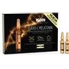 ISDIN Srl Isdinceutics Flavo-C Melatonin Isdin 10x2ml