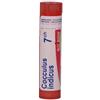BOIRON Srl Cocculus Indicus 7CH Boiron 80 Granuli