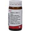 WALA ITALIA Srl Prunus S. Ferm C. Ferro Wala Globuli 20g