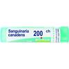 BOIRON Srl Sanguinaria Canadensis 200CH Boiron Granuli 4g