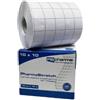 P.B. PHARMA Srl Cerotto Pharmastretch 10cmx10m PB Pharma 1 Pezzo