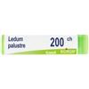 BOIRON Srl Boiron Ledum Palustre 15CH Globuli Monodose