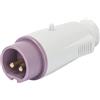 Gewiss CEE STECKER 2P 16A 24V O.U.