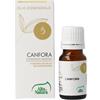 ALTA NATURA-INALME Srl CANFORA OLIO ESSENZIALE 10ML