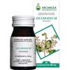ARCANGEA Desmodium - Integratore per Funzioni Epato-Biliari e Respiratorie 500mg 60 Capsule