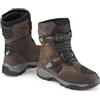 Forma Stivali Moto Adventure Forma ADVENTURE PRO LOW Dry Marrone
