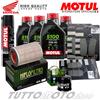 MOTUL / HIFLO KIT TAGLIANDO HONDA HORNET 600 2003 2004 2005 2006 OLIO FILTRI PASTIGLIE GRASSO