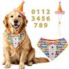 Fenralomi Set di bandana e cappello per il compleanno del cane, grazioso costume per cani di taglia piccola, media e grande, accessori per feste per animali domestici (arcobaleno, S)