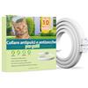 Asticers Collare Antiparassitario Per Gatti, Collare Antipulci Gatto Sicuro ed Efficace Realizzato Con Oli Essenziali Naturali, Collares Anti Pulci e Zecche Gatti Di Piccola Taglia, Medio e Grande