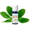 PURESSENTIEL ITALIA Srl Puressentiel olio essenziale ravinstara bio 10 ml