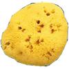 FARMACARE Srl Spugna nat fori l 10/11 cm 7