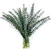 Fangoo 24 Pezzi Eucalipto Secco Vero 45CM Fiori Secchi Naturali Foglie di Eucalipto Gambi Reali di Eucalipto Rami di Piante Secche per Doccia Wedding Flower Arrangement Home Decor