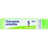 BOIRON Srl Chimaphila Umbellata 5CH Boiron 80 Granuli
