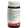 WALA ITALIA Srl Carduus Marianus Oxalis Wala Globuli 20g