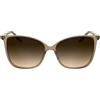 Calvin Klein Women's Sunglasses CK25504S - Transparent Brick with Gradient Brown Lens