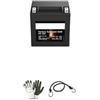 farbrothersonline COMPATIBILE CON BMW K GT/K GTL 1600 2017 A 2022 BATTERIA FAI DA TE YTX16-BS FA1240 IN GEL/SLA CARICATA PRONTA ALL'USO BATTERIE AGM ATTIVE 14 AH AMPERE 12 VOLT 150X87X161MM