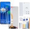 H&LYCYJ Schermo di ricambio per Honor Magic4 Lite 5G/X9 4G/X9 5G Any-LX1 Any-LX2 Any-LX3 Any-NX1 con kit di montaggio