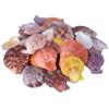 Zliger 500g Conchiglie Colorate Conchiglie Marine Conchiglie Colorate Capesante Conchiglie Naturali Tasca Bianco Cocco per la Decorazione Fai da Te Craft