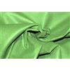 Russo Tessuti Tessuto Panno Lenci Pannolenci Decorazioni Lavoretti Tinta Unita 1 mm 1x1.90 mt-31 Verde Prato