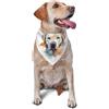generic Sciarpa triangolare per cani e gatti, con stampa di labrador, bandana per animali domestici, regolabile, per servizi fotografici