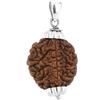 Jewelryonclick Scegli il tuo medaglione naturale con rudraksha 1, 2, 3, 4, 5, 6, 7, 8, 9, 10 Mukhi Faced Ganesh, Gauri Shankar, Legno, Non pietra preziosa