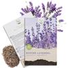 HAPPY SEED 900x Semi di lavanda ad alto tasso di germinazione - Versatile pianta medicinale e ideale per api e farfalle (incl. eBook 0)