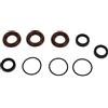 Dam Skerisi Kit Guarnizioni Pompa Idropulitrice 9 Pezzi in Gomma AR1857, Sostituzione per Pompe Annovi Reverberi 18mm RKA XR RKV XRC XRA Serie, Guarnizioni in Gomma ad Alta Resistenza con 3