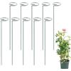 Generico Anello di supporto per piante - Asta con stelo singolo, di fissaggio in metallo | Struttura in ferro verde 6x6x50cm Set di punte stabili riutilizzabili per giardinaggio all'aperto indoor Fiori