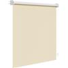 WOLTU Tenda a Rullo Oscurante da Forare, Tenda Avvolgibile Interni con Montaggio a Vite, Protezione Solare per Finestre e Porte, 160x160 cm [Larghezza Tessuto: 156 cm], Beige